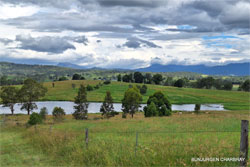 Dam at Bunjurgen Paddocks and dam